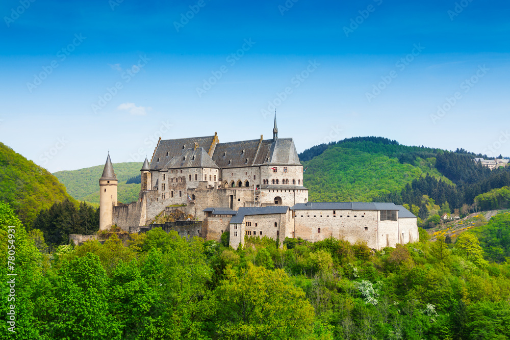 Vianden Luxembourg mountains and forests - obrazy, fototapety, plakaty 
