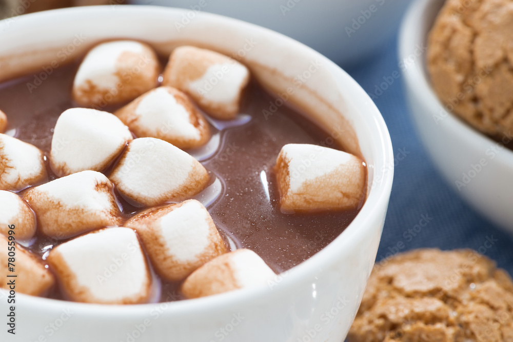 cup of cocoa with marshmallows, selective focus