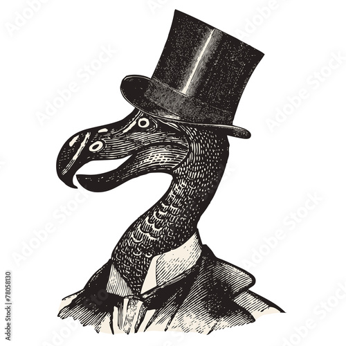 Monsieur Dodo