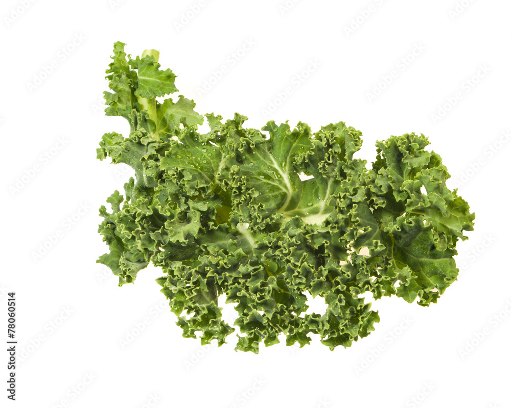 Fototapeta premium Green kale leaves isolated on white