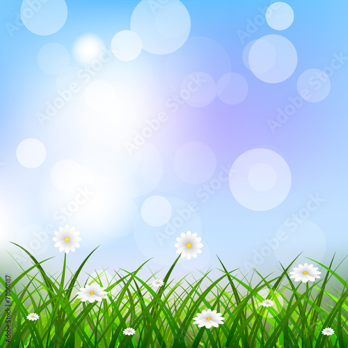 Floral background with blue sky, green grass and flowers