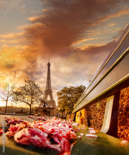 Eiffel Tower during beautiful  spring morning in Paris, France © Tomas Marek