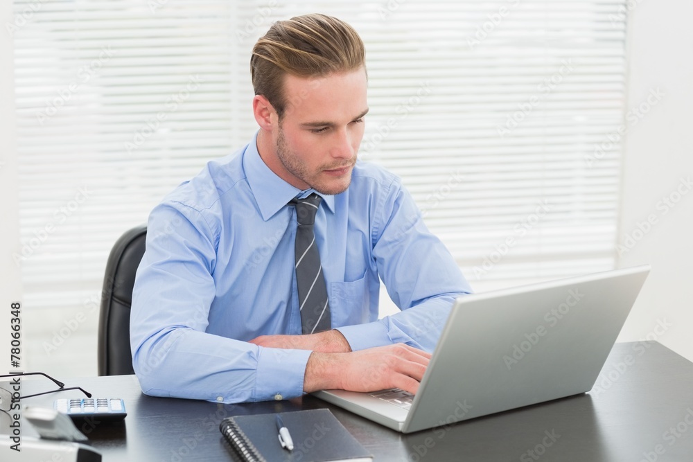 Concentrated businessman using his laptop Concentrated businessman using his laptop