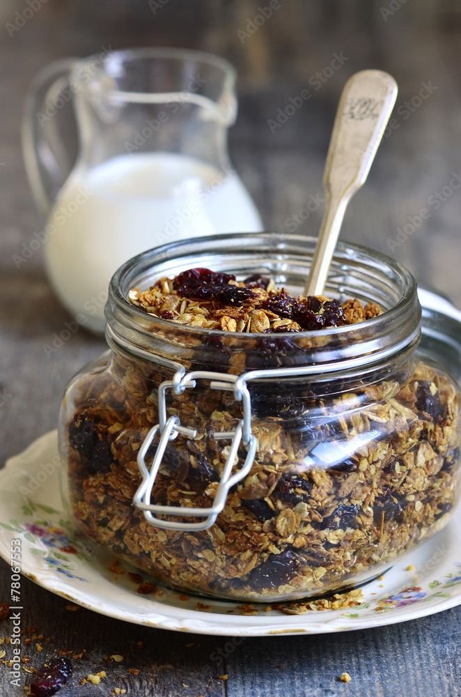Granola from rye and oat flakes with dried cranberries and cocon Granola from rye and oat flakes with dried cranberries and cocon