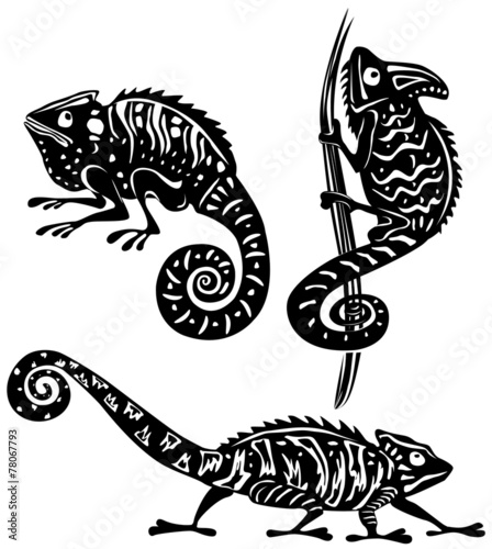 Black and white chameleon