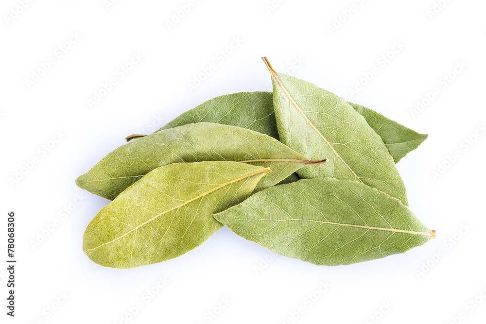 Hojas de laurel secas, especias para cocina aisladas en blanco Stock