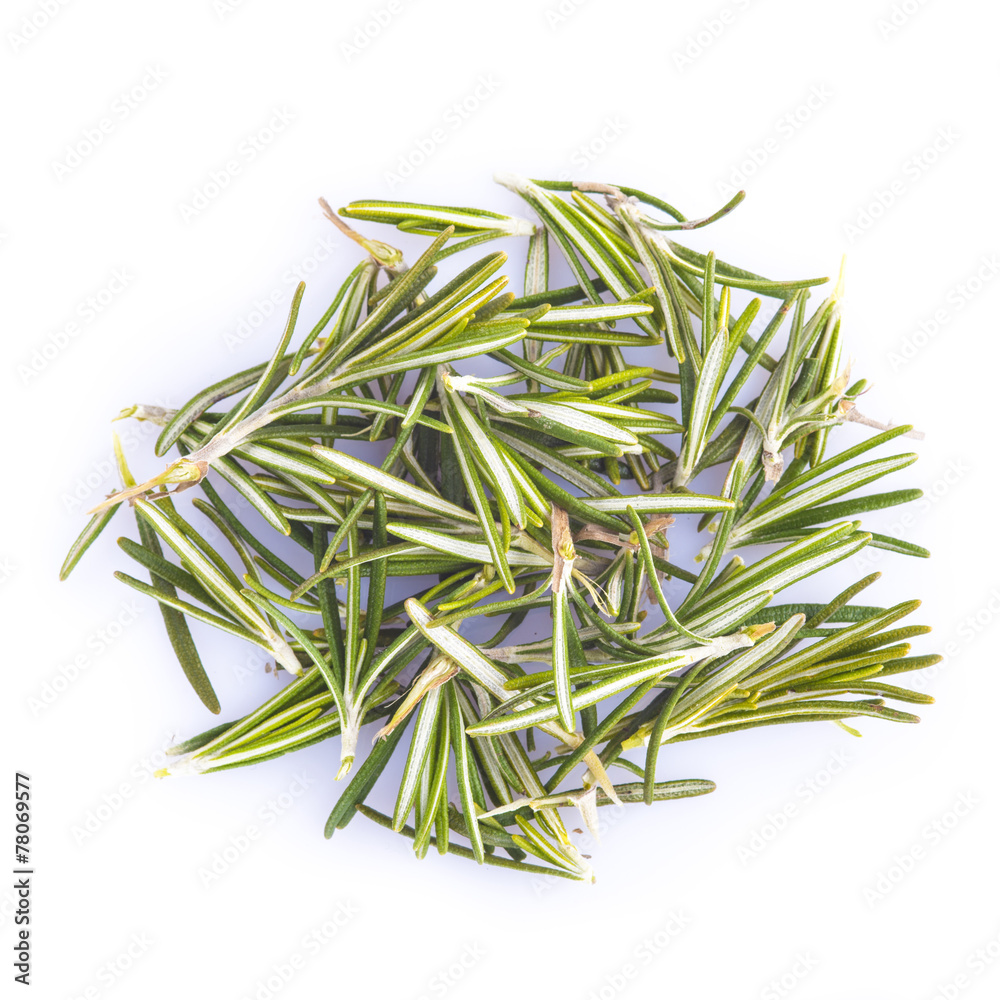 Fototapeta premium Hojas de romero frescas aisladas sobre un fondo blanco