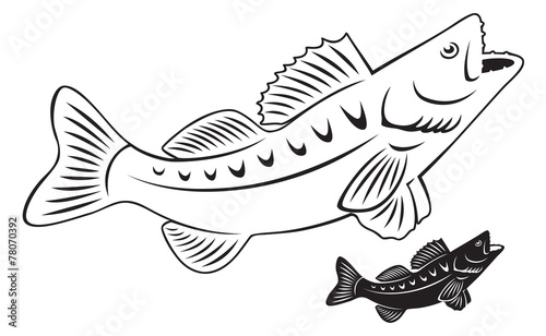 fish perch