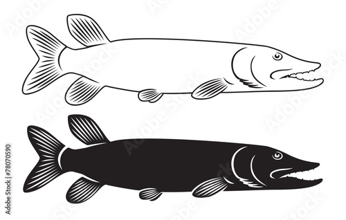 fish pike
