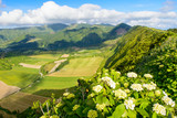 Mountain landscape with hortensia's, Azores