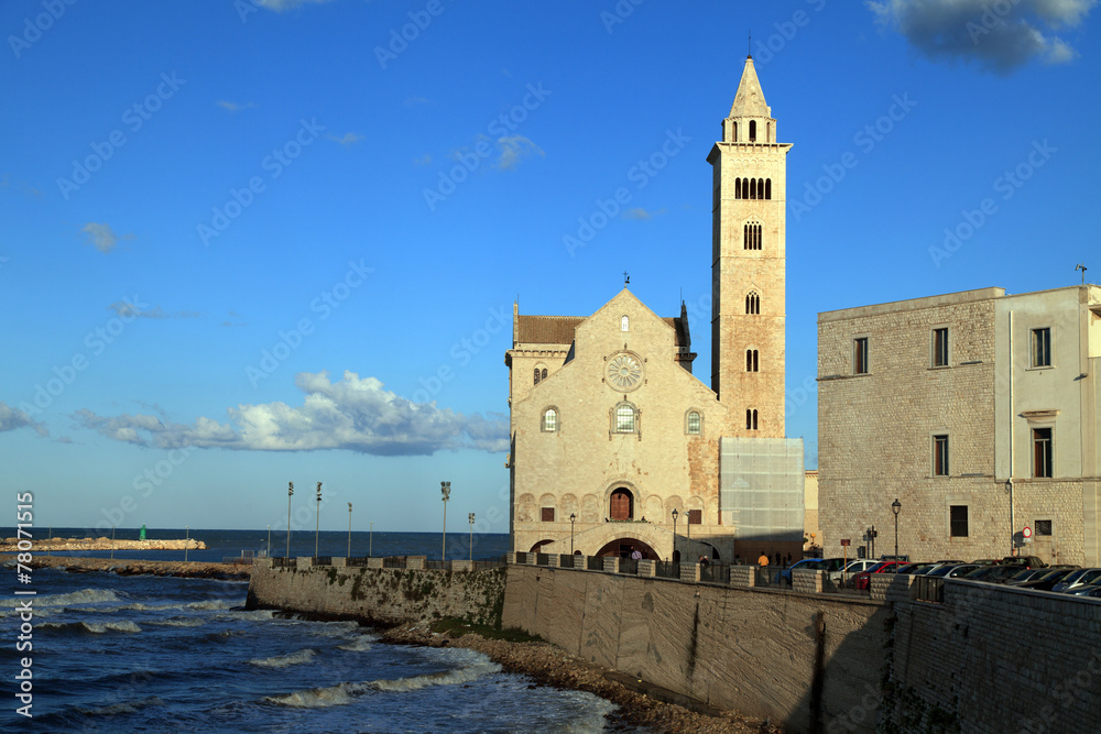 cattedrale di San Nicola Pellegrino