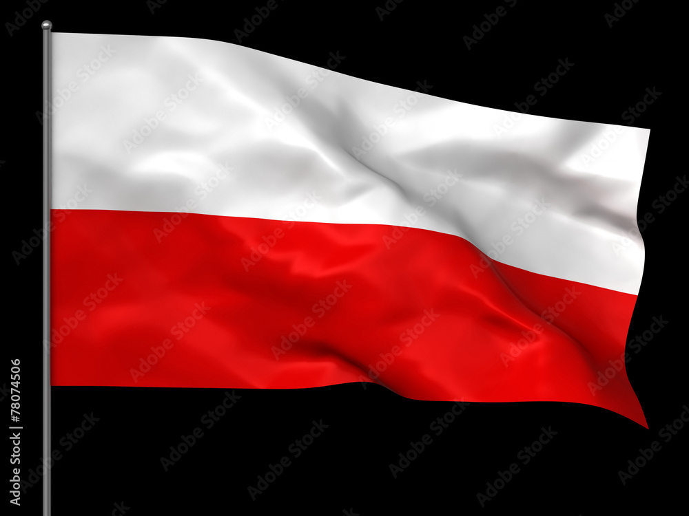Polish flag Polish flag