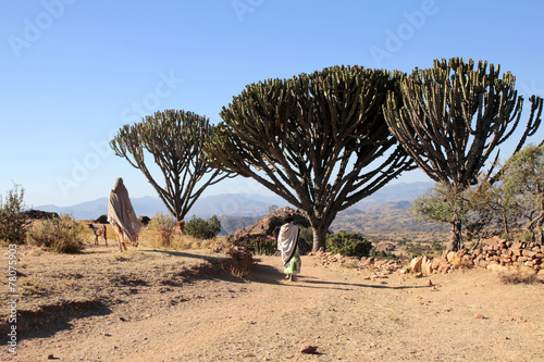 Nature of Lalibela Ethiopia
