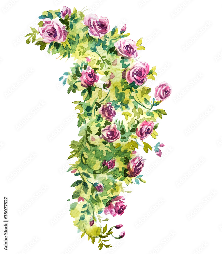 Rose bush watercolor sketch. Vector illustration. Stock Vector Adobe