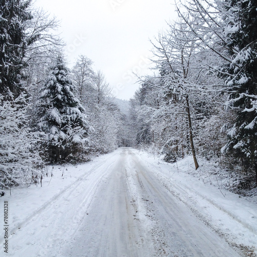 Winter landscape © mikola249