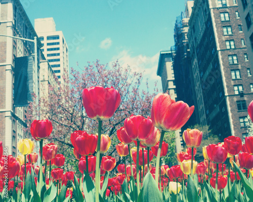 New York city Spring