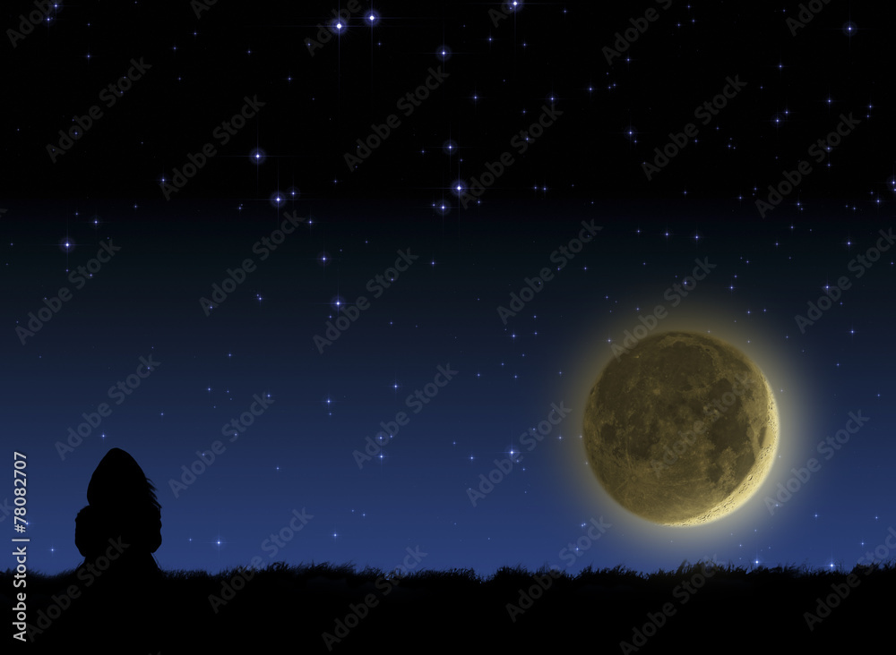 Girl sitting on a meadow and watching moonset on a starry skies. Girl sitting on a meadow and watching moonset on a starry skies.