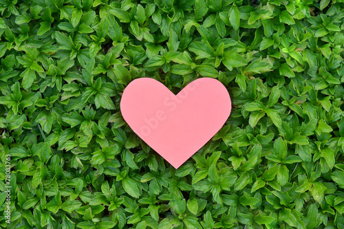 pink heart and green grass valentines day background.