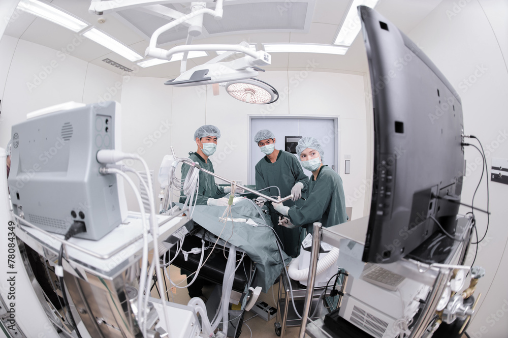 Obraz premium veterinarian doctor in operation room for laparoscopic surgical