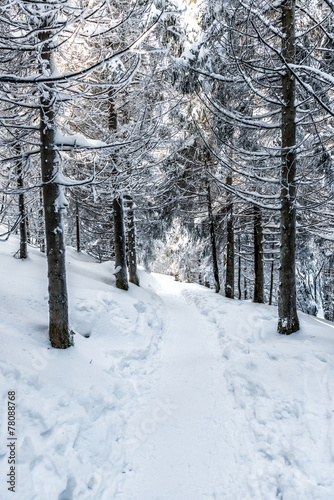 winter hike © MARIMA