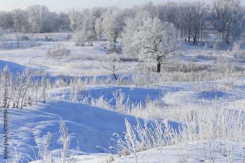 winter landscape