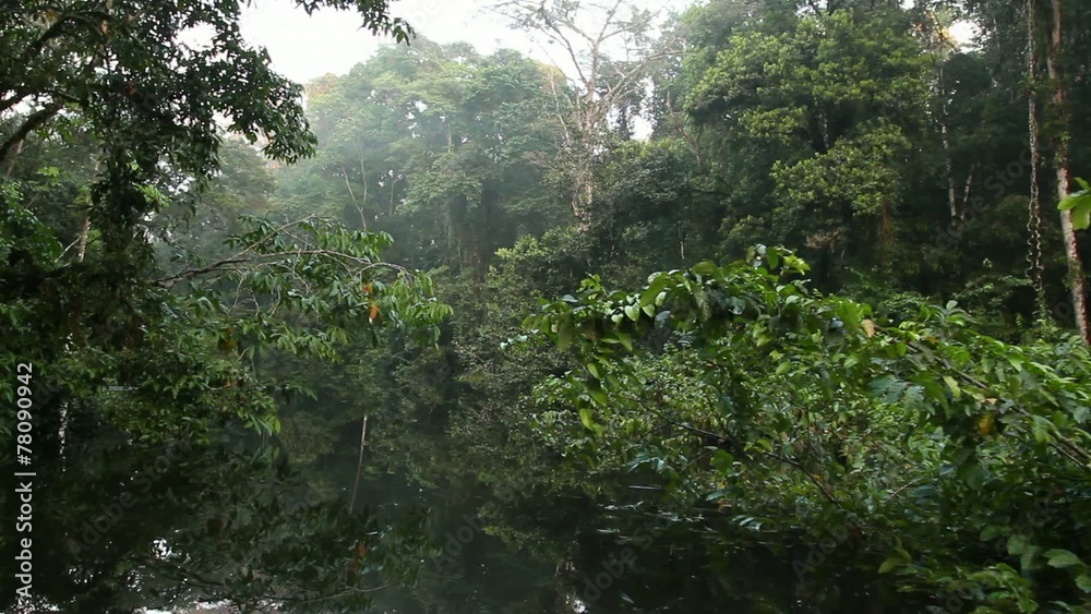 Drifting through an Amazonian oxbow lake Drifting through an Amazonian oxbow lake