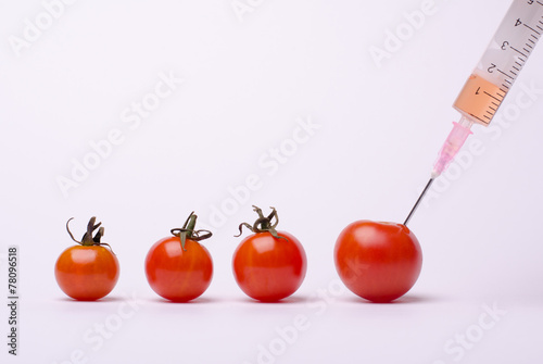 GMO tomato