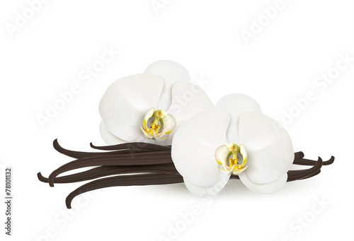 Fototapeta Naklejka Na Ścianę i Meble -  Vanilla background. Vector.