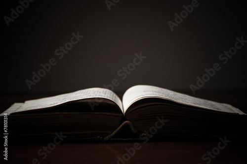 Obraz na plátne Open Book