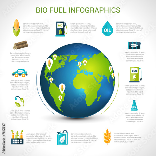 Bio Fuel Infographics