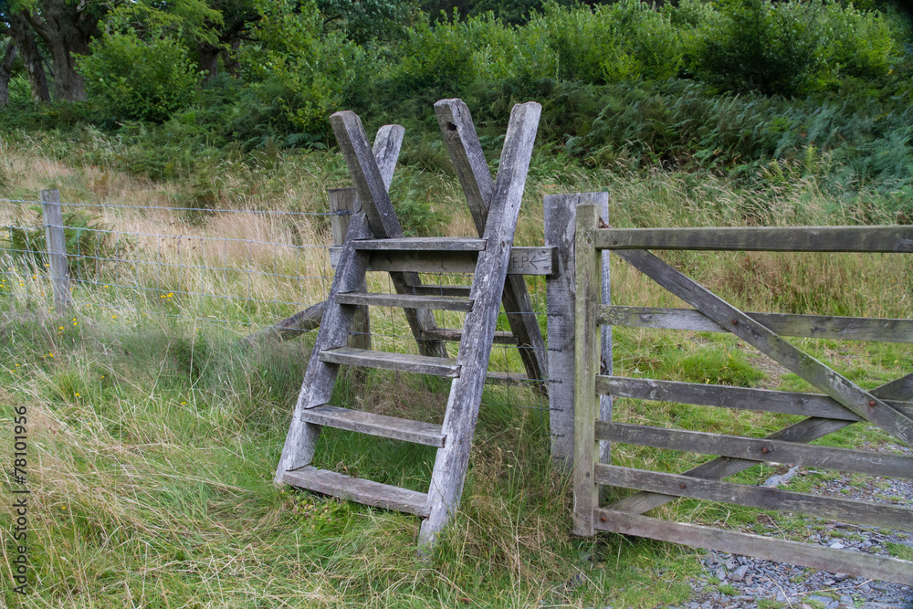 Latter Stile, style, steps up and over fence