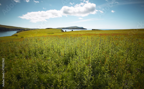 Scottish coastline landscape in Shetland islands. Scotland. UK