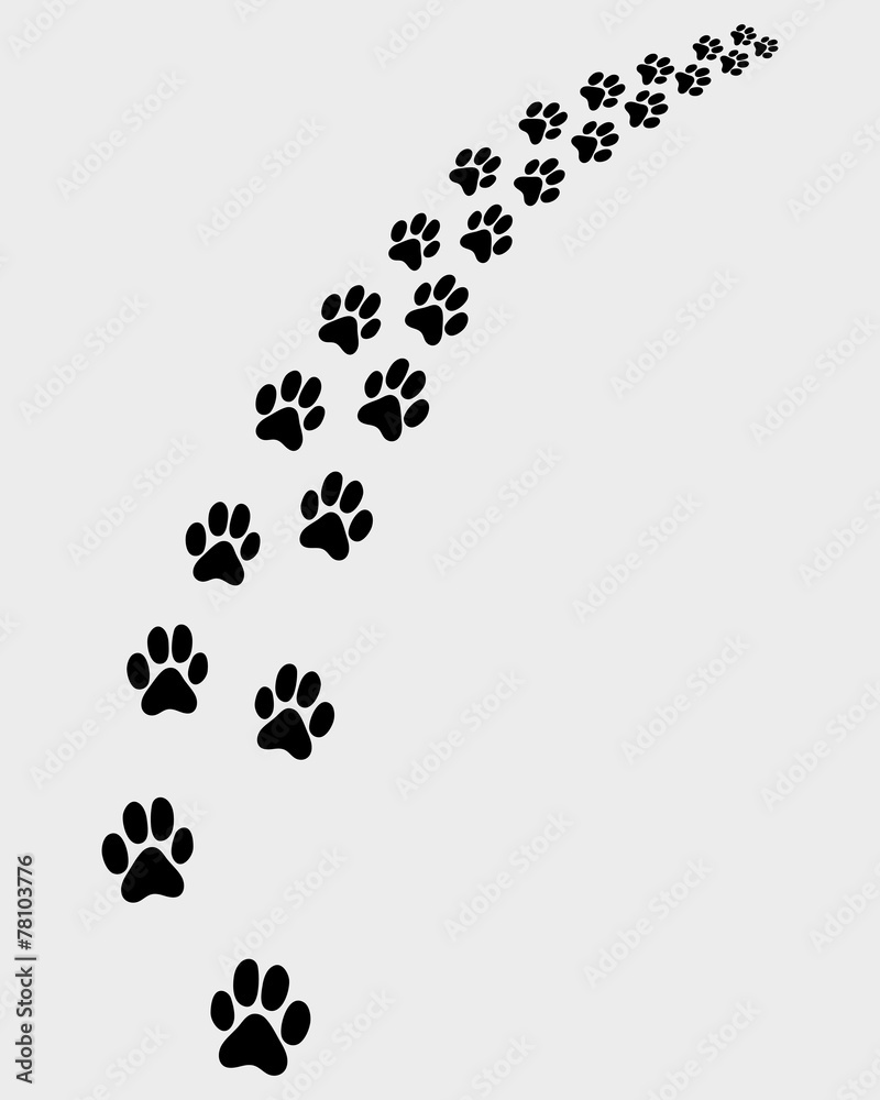 Black trail of cat, turn right, vector illustration Black trail of cat, turn right, vector illustration