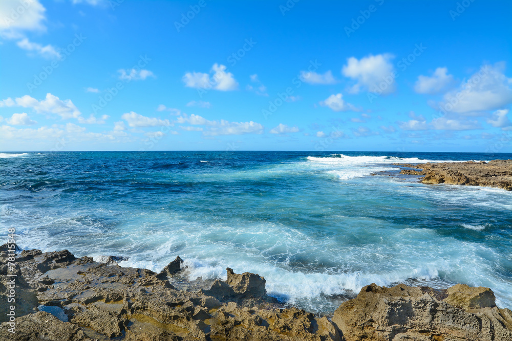 rocky shore in Argentiera rocky shore in Argentiera