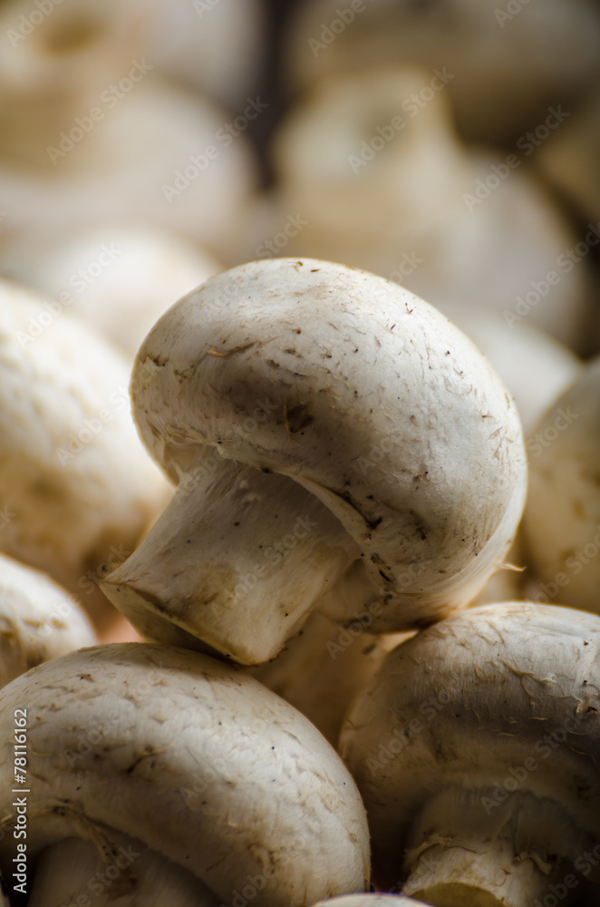Mushrooms raw home-grown