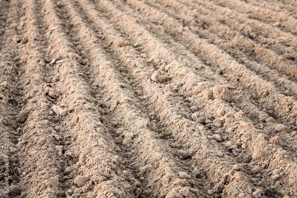 Furrows in a field after plowing it. Furrows in a field after plowing it.