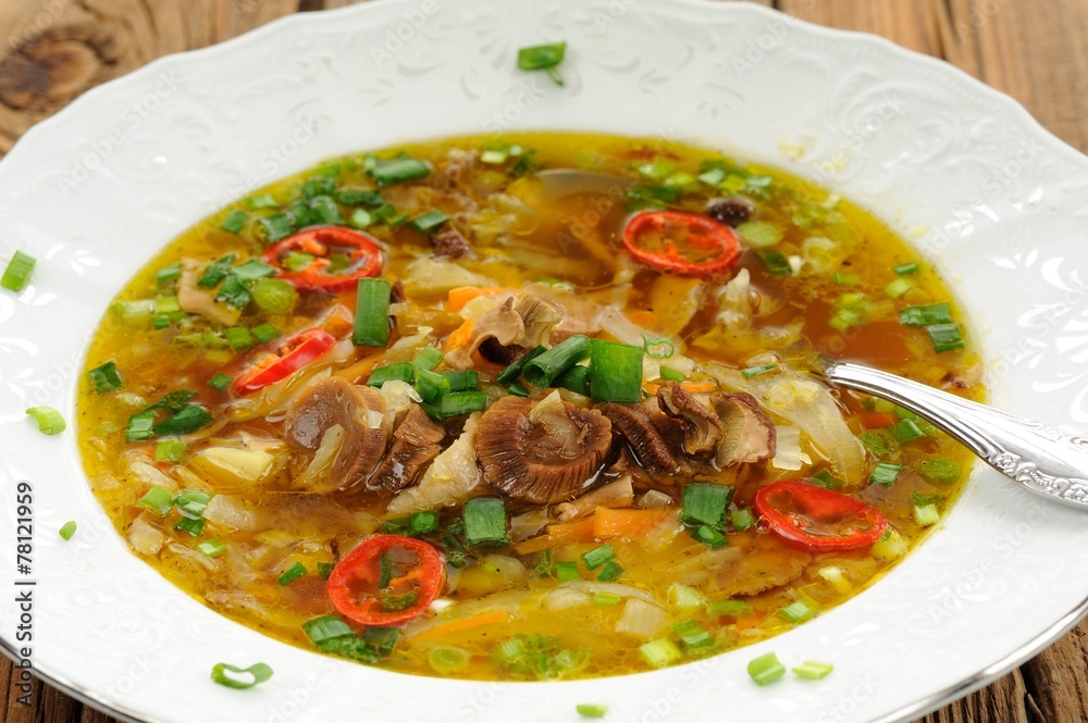 Wild mushroom and vegetable soup with chili in white plate Wild mushroom and vegetable soup with chili in white plate