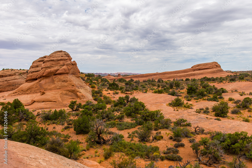 Desert landscape in Arches National Park