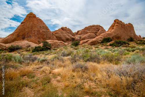 Desert landscape in Arches National Park