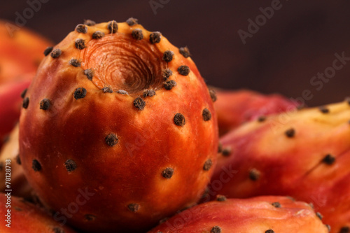 Single Nopal