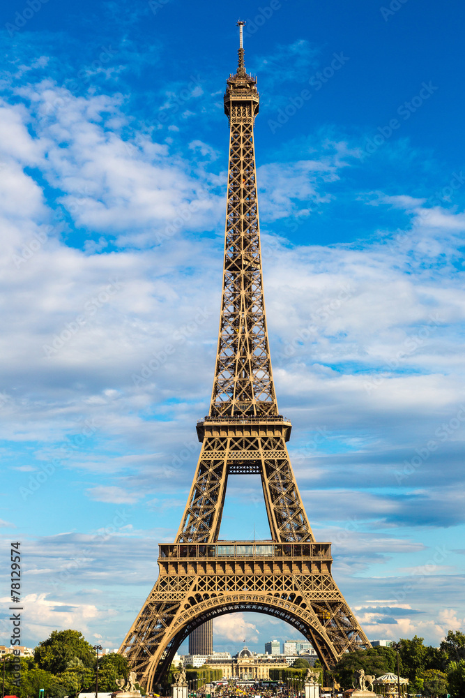 Fototapeta premium Eiffel Tower in Paris