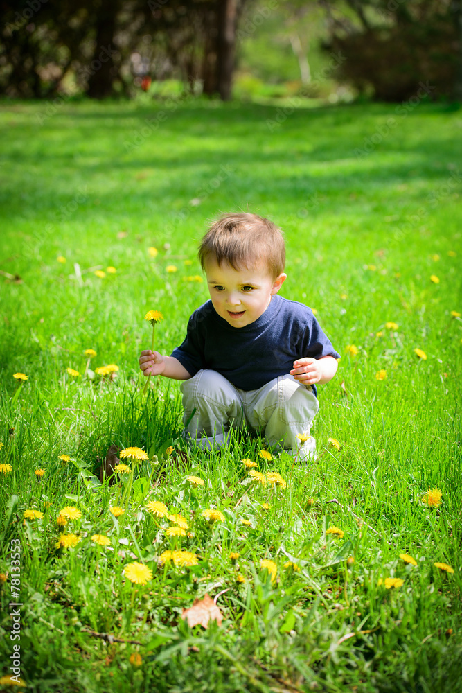 Young Boy Sits Outside Holding a Dandelion Flower Young Boy Sits Outside Holding a Dandelion Flower