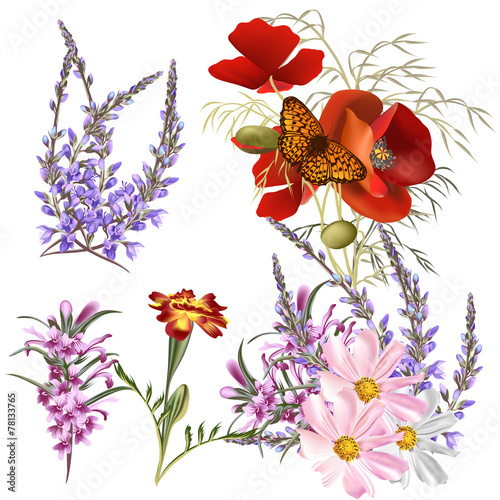 Fototapeta Naklejka Na Ścianę i Meble -  Vector set of detailed colored flowers
