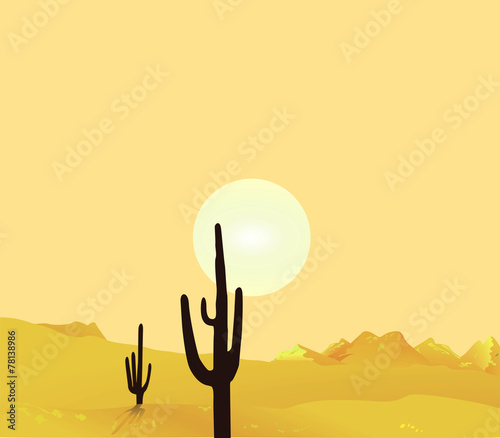 Wüstenlandschaft