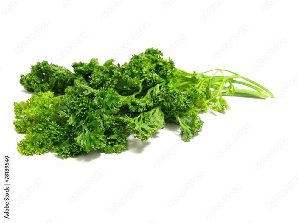 Fototapeta premium bunch of fresh green curly parsley isolated on white background