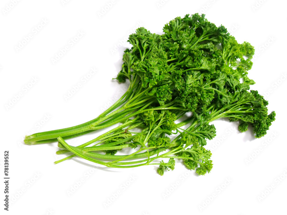 bunch of fresh green curly parsley isolated on white background