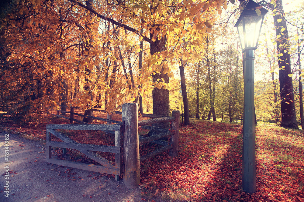 golden autumn landscape Indian summer golden autumn landscape Indian summer