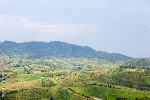 Agricultural areas in the mountains