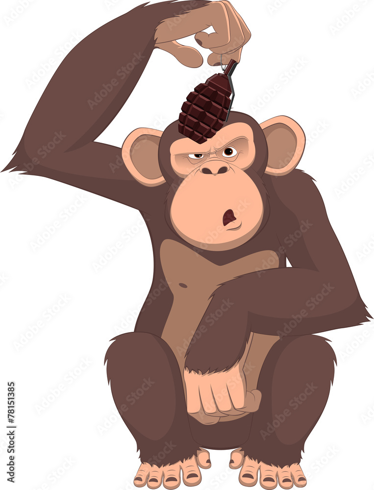 Monkey with a grenade Monkey with a grenade