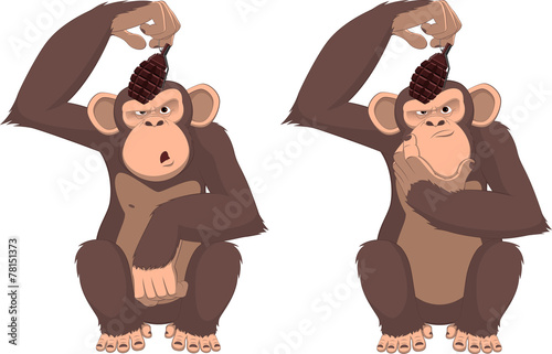 Monkey with a grenade